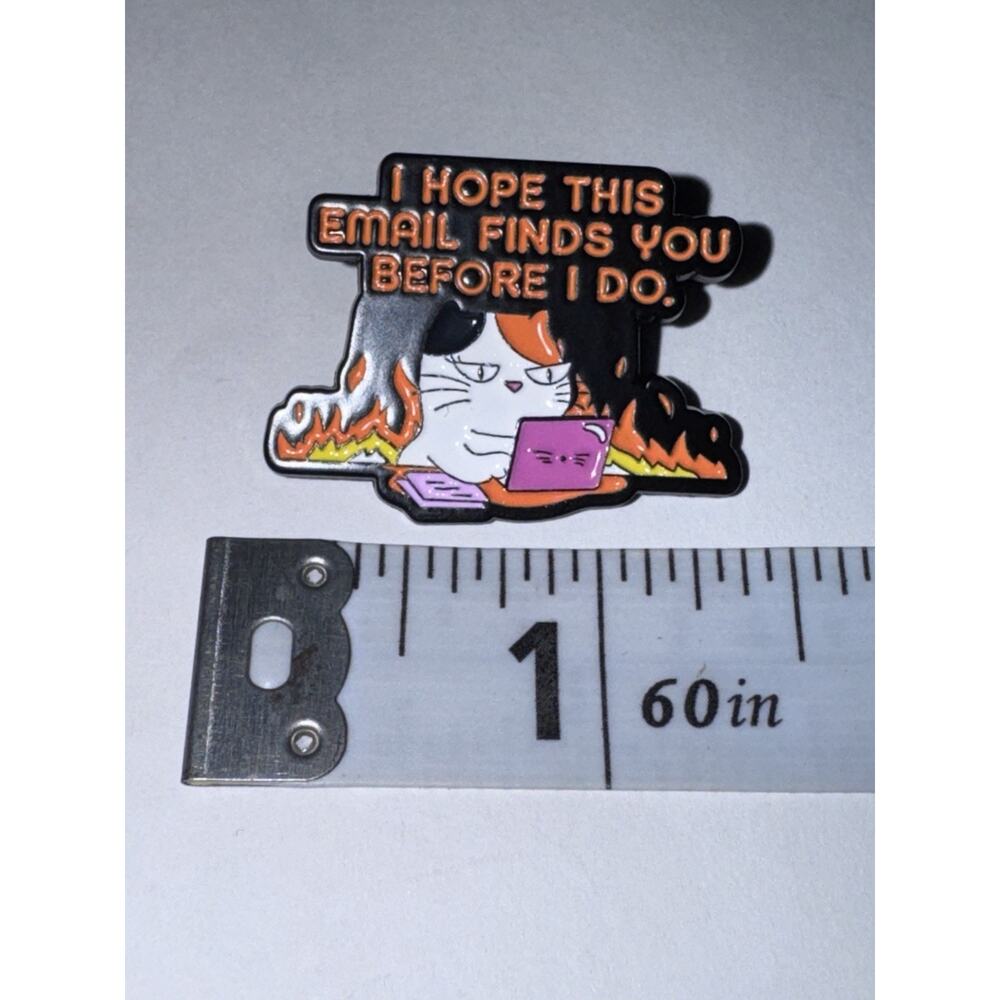 I Hope This Email Reaches You Before I Do Cat Kitten Pin Brooch